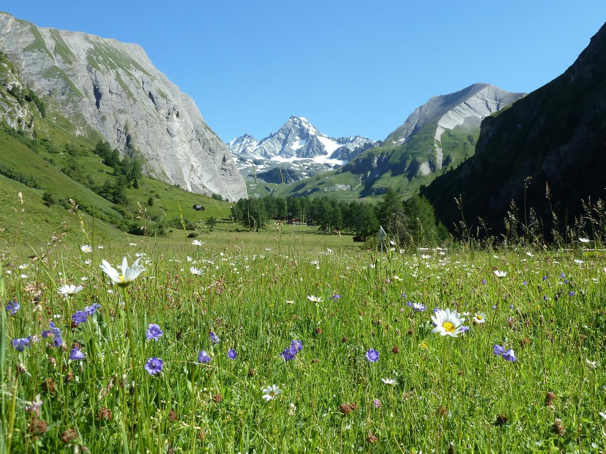 Alpengasthof Lucknerhaus Hotel Kals am Grossglockner Luaran gambar